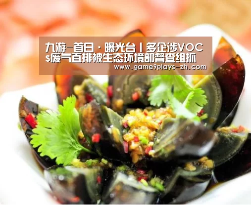 九游-首日·曝光台丨多企涉VOCs废气直排被生态环境部督查组抓现行(无收集或治理等措施)(图2) 九游官方网站