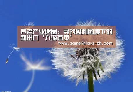 养老产业迷局：寻找盈利困境下的新出口‘九游首页’