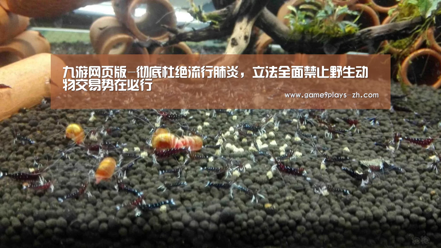 九游