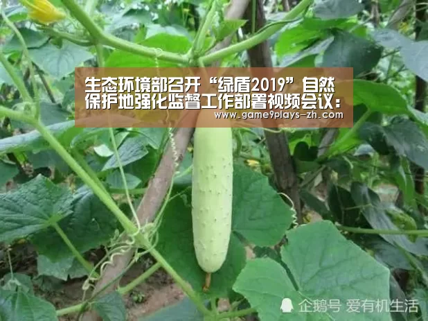 九游网页版
