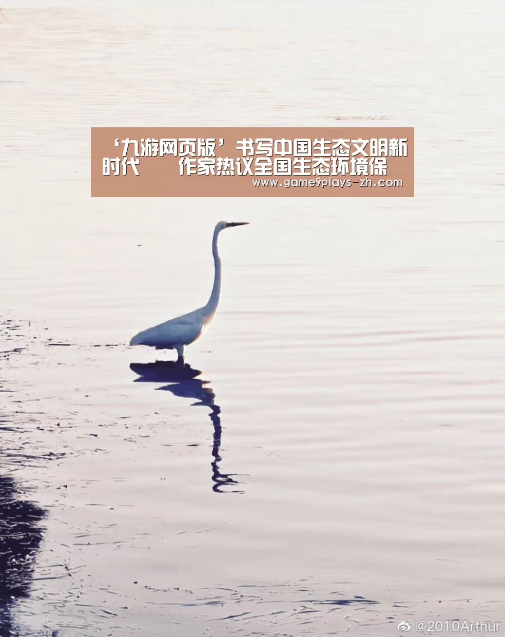 九游官方网站